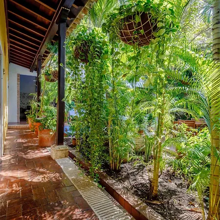 Сasa de vacaciones Colonial With Private Pool 7br In Old Town